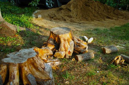 Stump Removal Service in Minneapolis, MN by Superior Stump Grinding