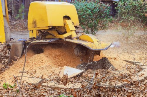Residential stump grinding in Minneapolis MN