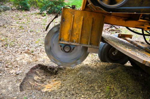 Root grinding in Minneapolis MN