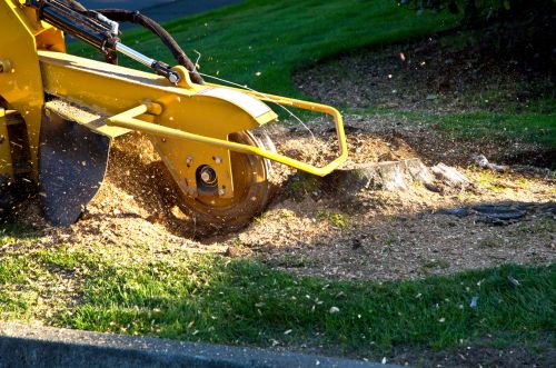 Stump grinding service in Minneapolis MN
